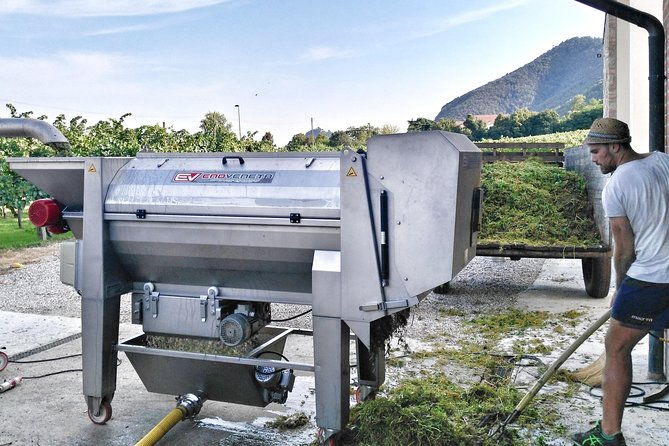 from-venice-wine-tour-in-the-euganean-hills