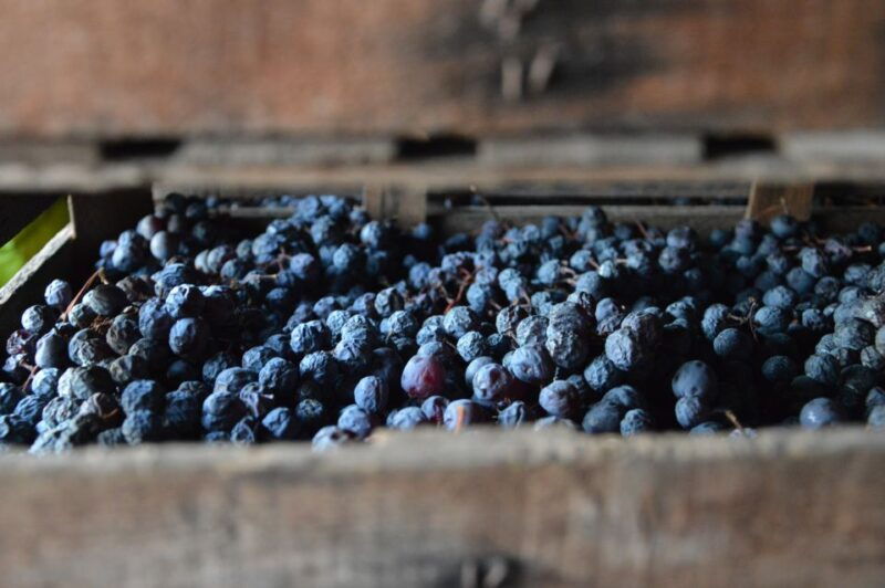 from-verona-amarone-half-day-wine-tasting-tour