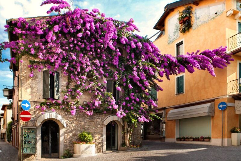 from-verona-discover-lake-garda-and-sirmione-private-tour