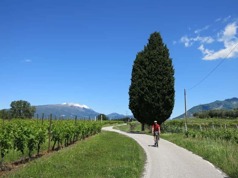From Verona: Lake Garda E-Bike tour with lunch SELF GUIDED - Final Thoughts