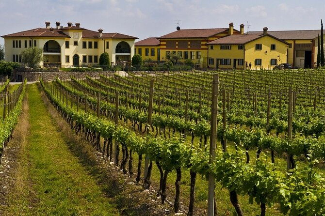 from-verona-private-trip-to-sirmione-lake-garda-valpolicella-wine-region