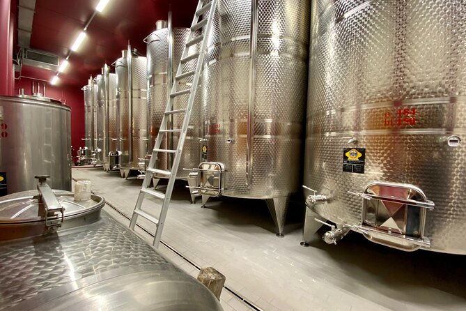 from-verona-private-trip-to-sirmione-lake-garda-valpolicella-wine-region