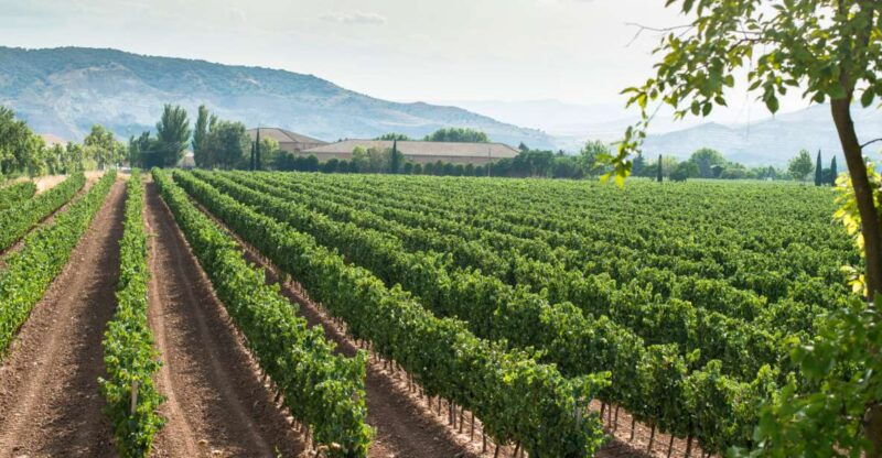from-verona-valpolicella-and-amarone-full-day-private-tour