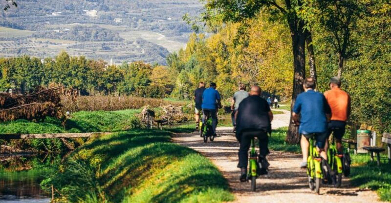from-verona-valpolicella-and-countryside-e-bike-wine-tour