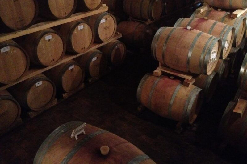 from-verona-valpolicella-and-countryside-e-bike-wine-tour