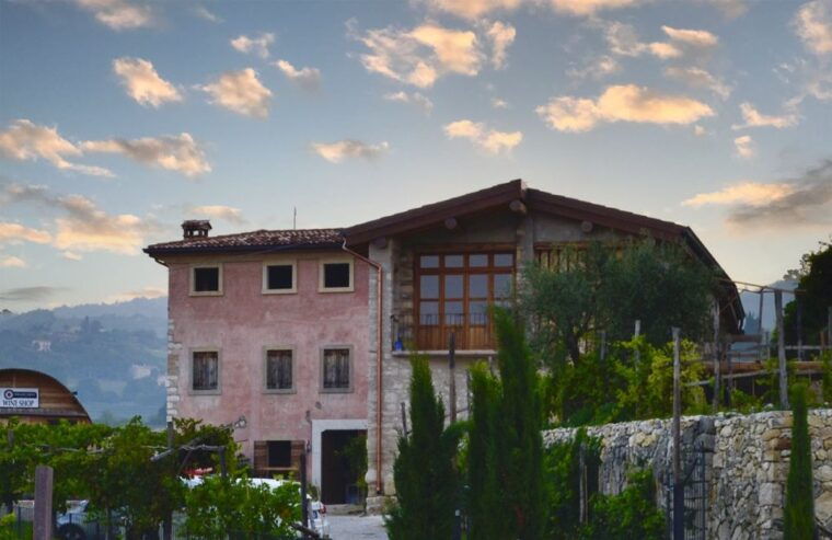 from-verona-valpolicella-winery-tour-with-amarone-vintages