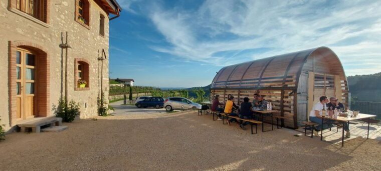 from-verona-valpolicella-winery-tour-with-amarone-vintages
