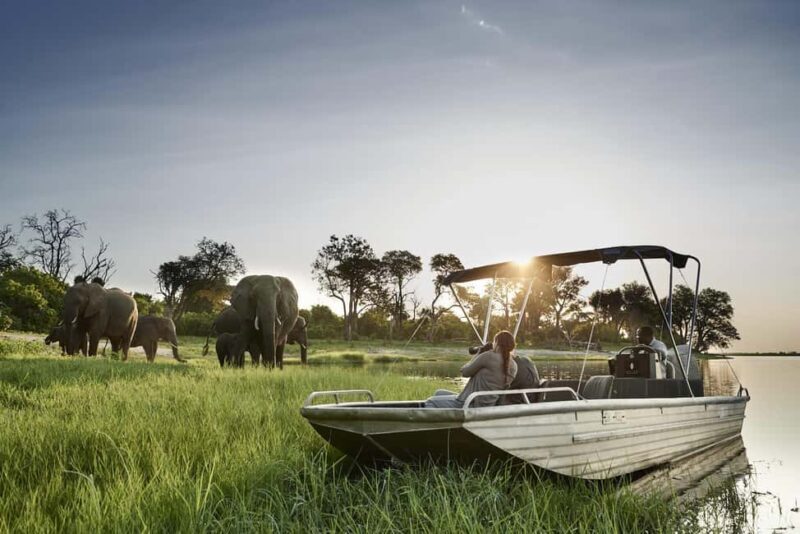 From Victoria Falls to Chobe National Park, Safari Adventure - Journey into Chobe National Park: What to Expect