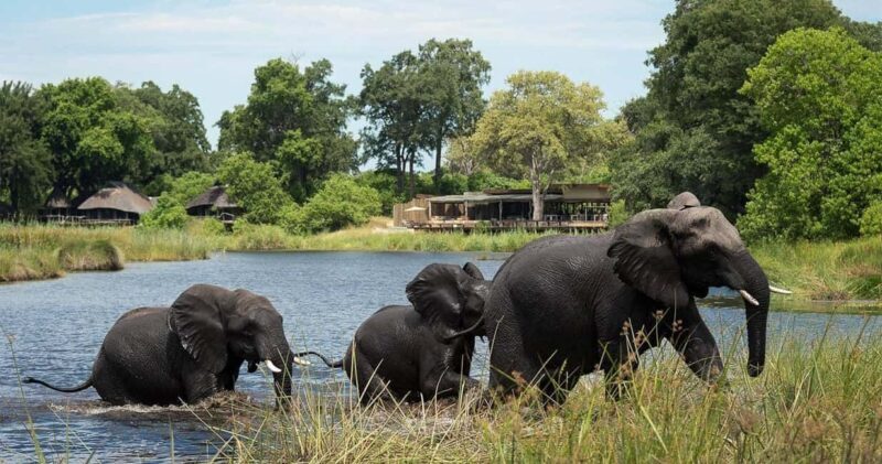 From Victoria Falls to Chobe National Park, Safari Adventure - Why This Tour Offers Great Value