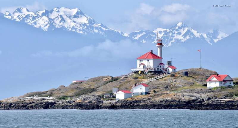 from-victoria-whale-watching-tour-by-zodiac-boat