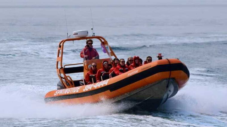 from-victoria-whale-watching-tour-by-zodiac-boat