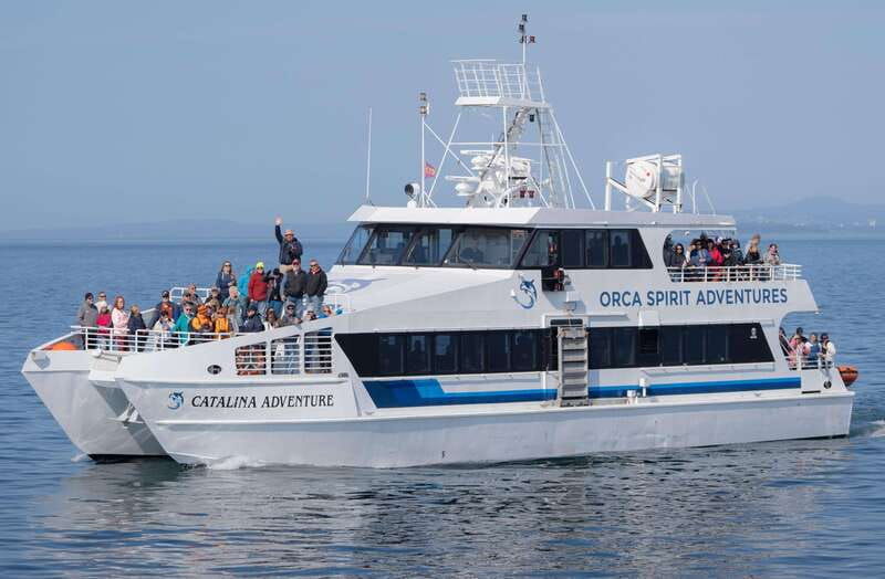 from-victoria-whale-watching-trip-on-covered-boat
