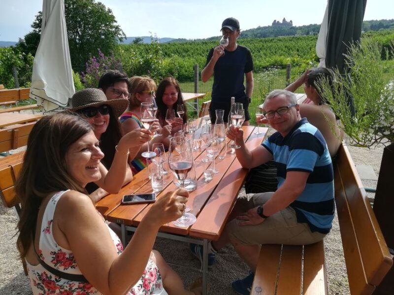 from-vienna-half-day-countryside-wine-tour-with-meal