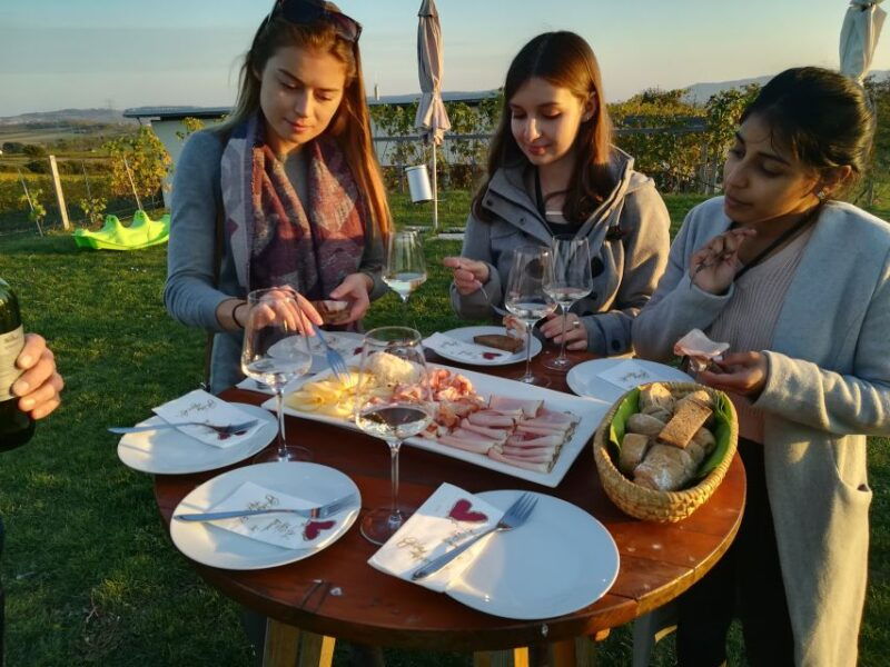 from-vienna-half-day-countryside-wine-tour-with-meal