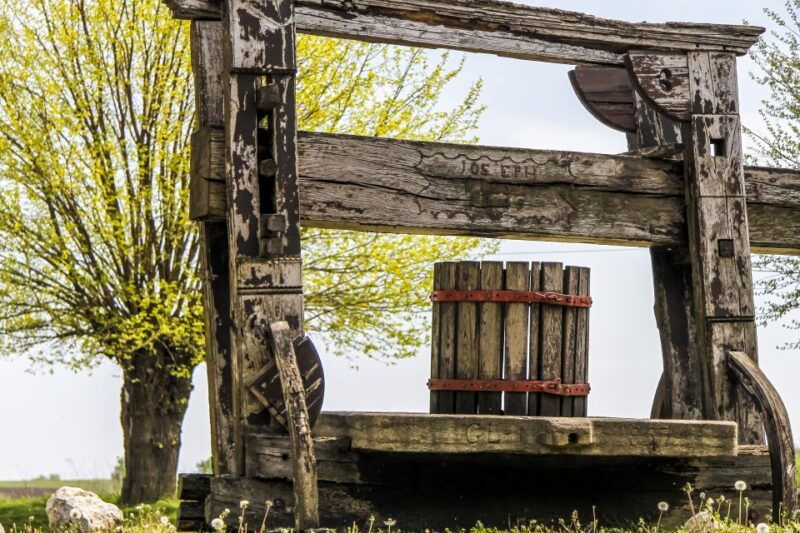 from-vienna-half-day-countryside-wine-tour-with-meal