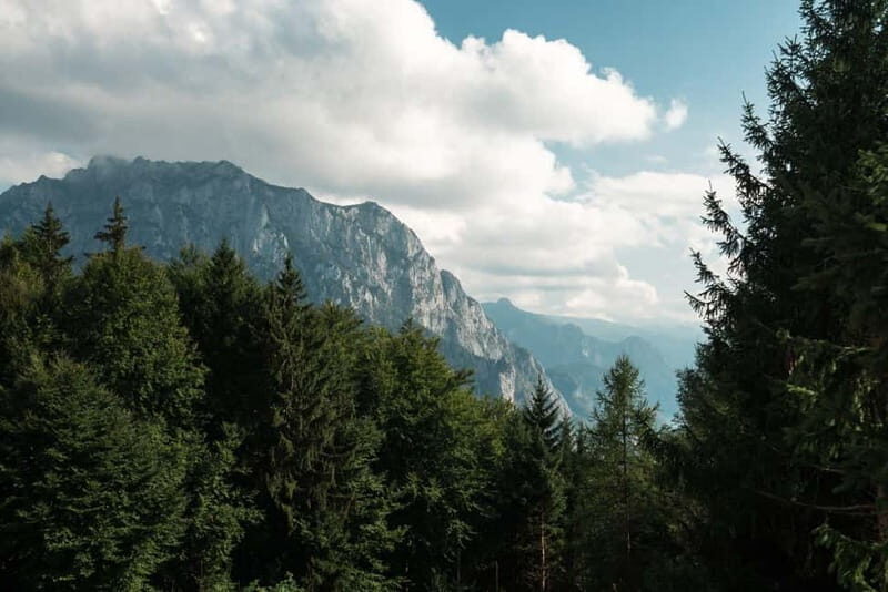 From Vienna: Hallstatt and Treetop Path Private Day Trip - The Sum Up