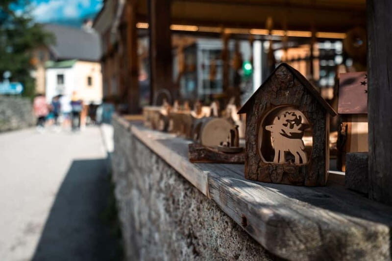 From Vienna: Hallstatt and Treetop Path Private Day Trip - FAQs
