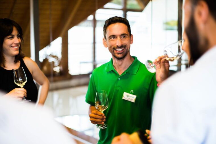 from-vienna-wachau-valley-day-tour-with-wine-tasting