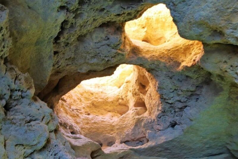 from-vilamoura-2-5-hour-benagil-cave-and-dolphins-boat-tour