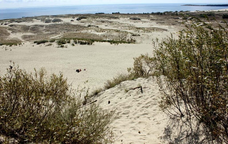 From Vilnius: Day Trip to Curonian Spit National Park - Final Thoughts: Who Will Appreciate This Tour?  