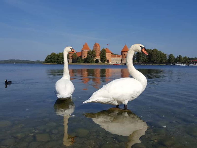 From Vilnius: Trakai Castle and Paneriai Memorial Tour - Transport & Group Size