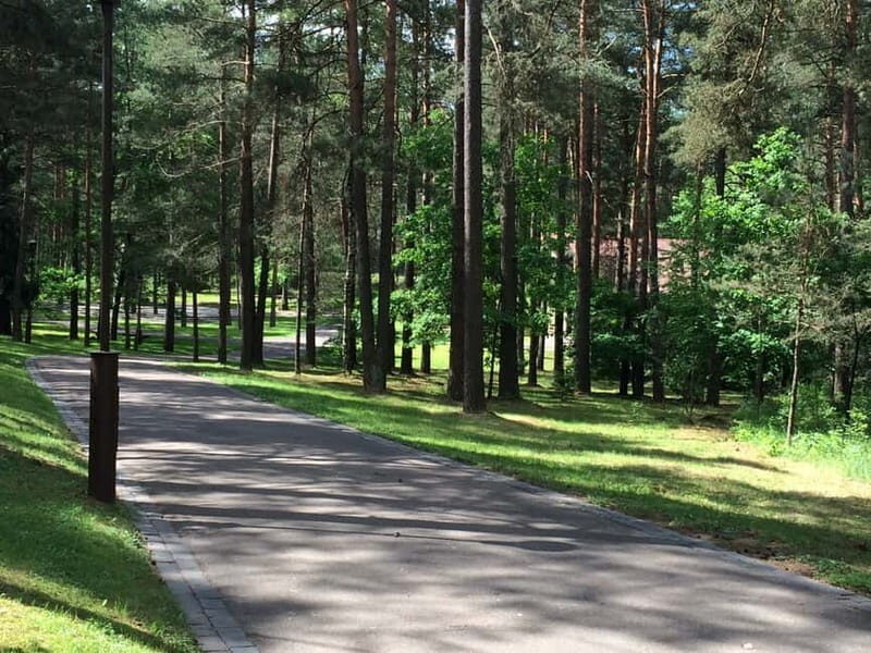 From Vilnius: Trakai Castle and Paneriai Memorial Tour - Practical Tips & Considerations