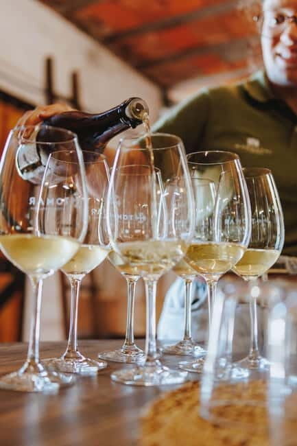 From Vine to Table with Wine Tasting in the Serra de Tomar - Who Would Love This Tour?