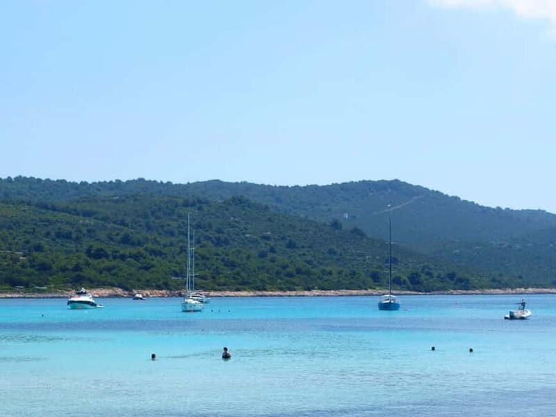 From Vir: Full-Day Guided Trip to Sakarun Beach - The Experience from a Traveler’s Perspective