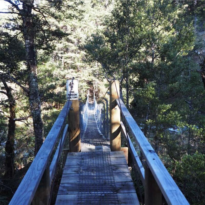 From Waikato: Kaimanawa Descent Heli-Hiking Adventure - What Makes This Tour Special?