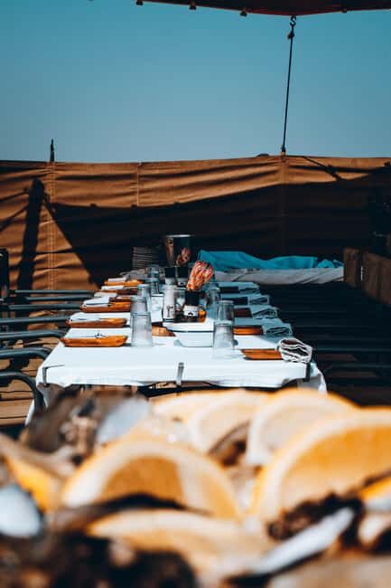 From Walvis Bay: Namibian Coast Day Cruise with Lunch - An In-Depth Look at the Walvis Bay Coastal Adventure
