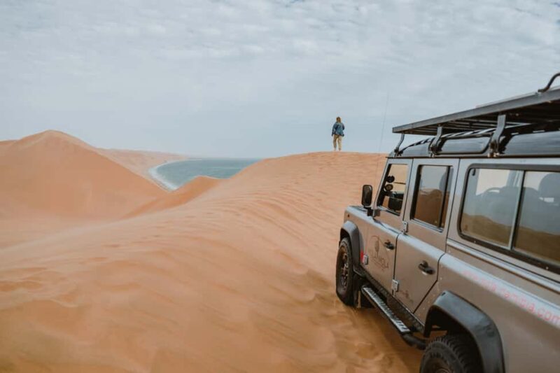 From Walvis Bay: Namibian Coast Day Cruise with Lunch - Final thoughts