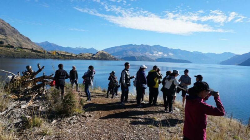 From Wanaka: Ruby Island 1-Hour Cruise and Photo Walk - What to Expect on the Day