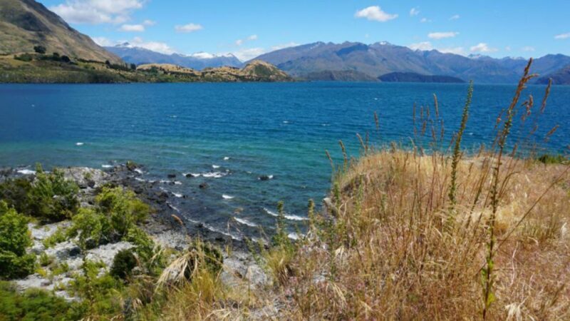 From Wanaka: Ruby Island 1-Hour Cruise and Photo Walk - Who Will Love This Experience?