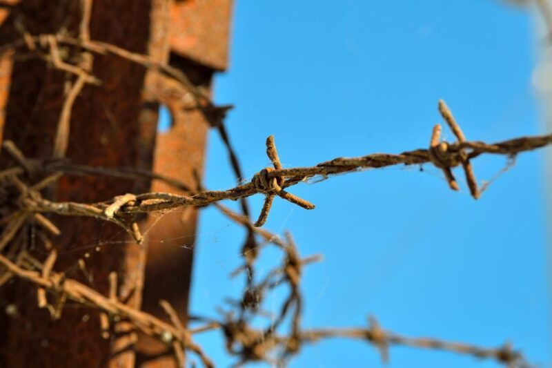 from-warsaw-auschwitz-birkenau-tour-by-car