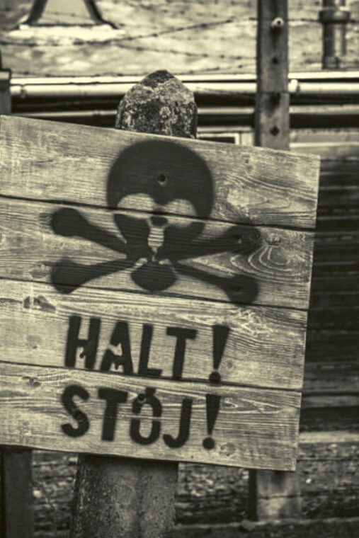 from-warsaw-auschwitz-day-tour-by-private-car-with-lunch