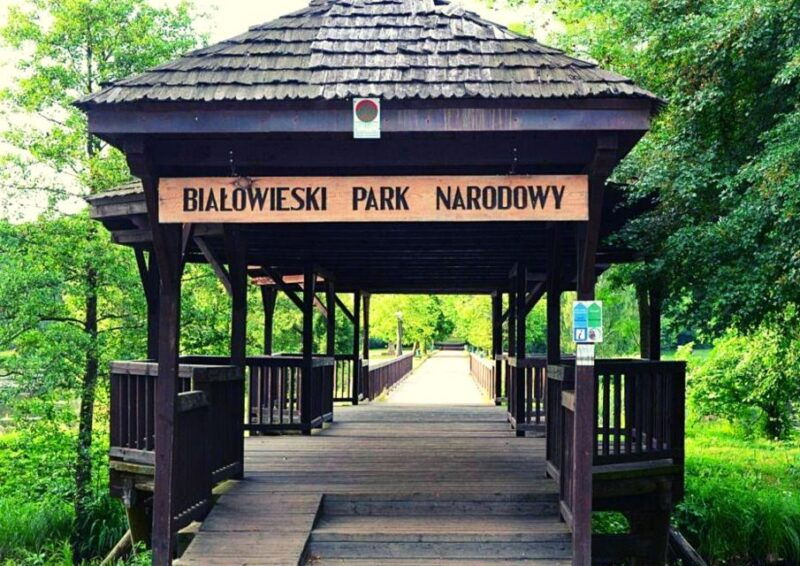 from-warsaw-small-group-tour-to-bialowieza-national-park