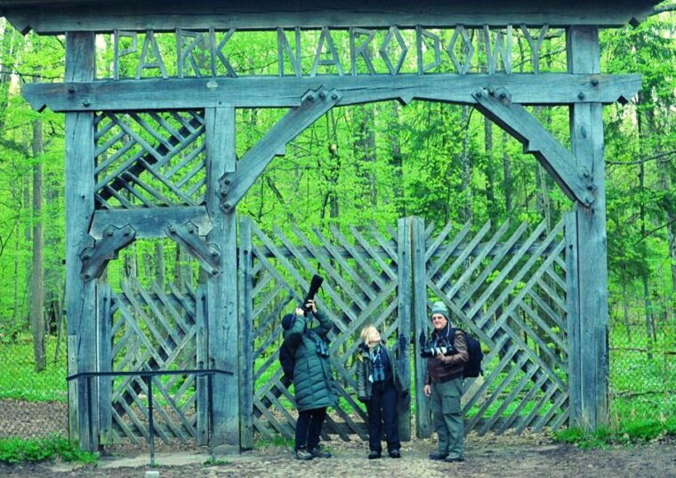 from-warsaw-small-group-tour-to-bialowieza-national-park
