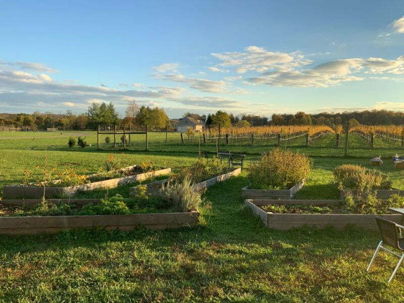 from-washington-dc-virginia-wine-country-private-day-trip