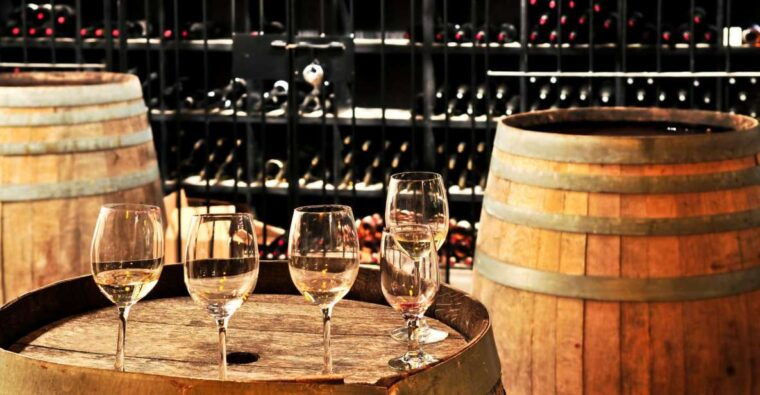 from-washington-dc-virginia-wine-country-private-day-trip