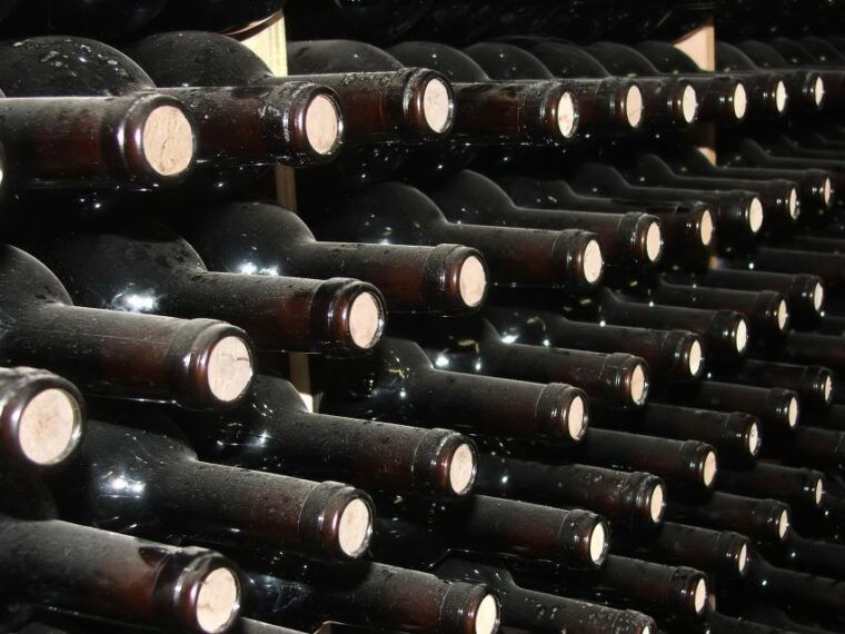 from-washington-dc-virginia-wine-country-private-day-trip