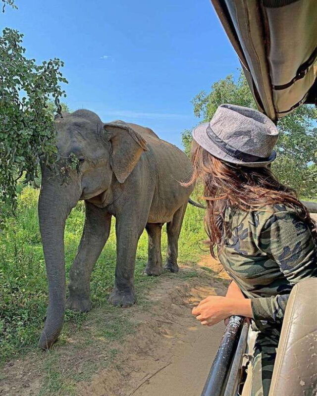 from-weligama-udawalawa-national-park-safari-tour