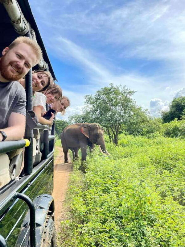 from-weligama-udawalawa-national-park-safari-tour