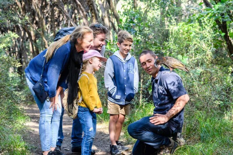 From Wellington: Kapiti Island Classic Guided Day Tour - Who Will Love This Tour?