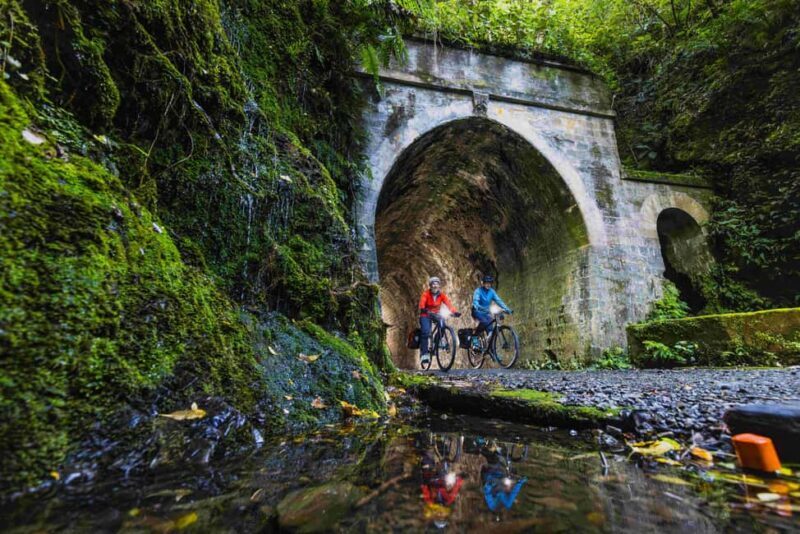 From Wellington: Remutaka Rail Trail eBike Tour - Key Points