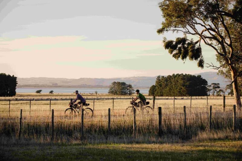From Wellington: Remutaka Rail Trail eBike Tour - An Overview of the Remutaka Rail Trail eBike Tour