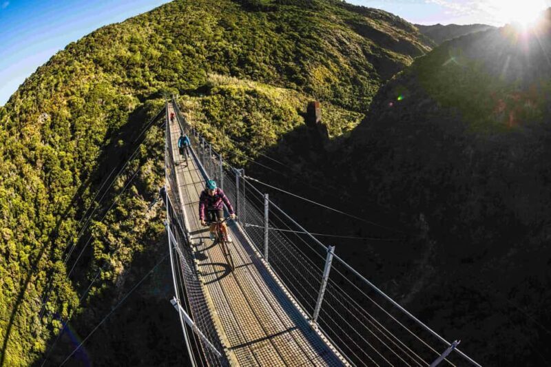 From Wellington: Remutaka Rail Trail eBike Tour - What to Expect During the Ride