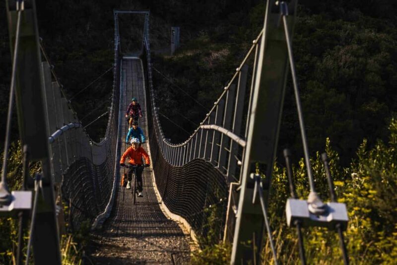 From Wellington: Remutaka Rail Trail eBike Tour - Why This Tour Is a Great Choice