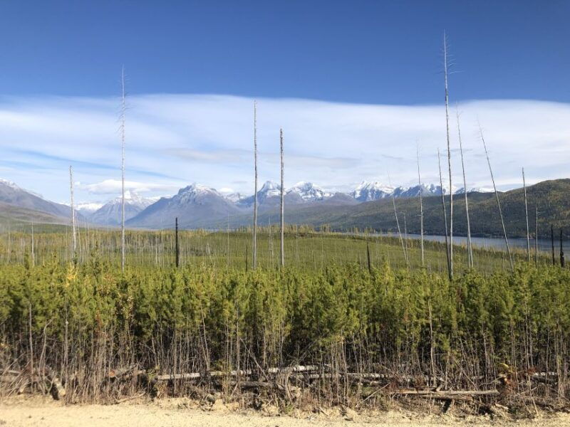 from-whitefish-west-glacier-polebridge-day-tour