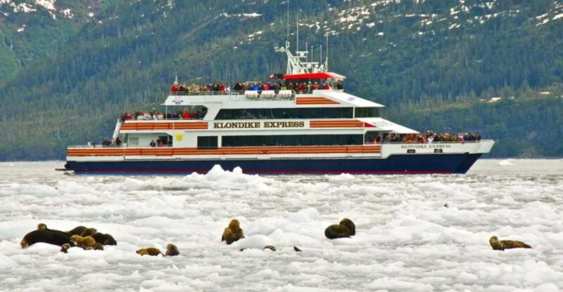 from-whittier-anchorage-prince-william-sound-glacier-cruise