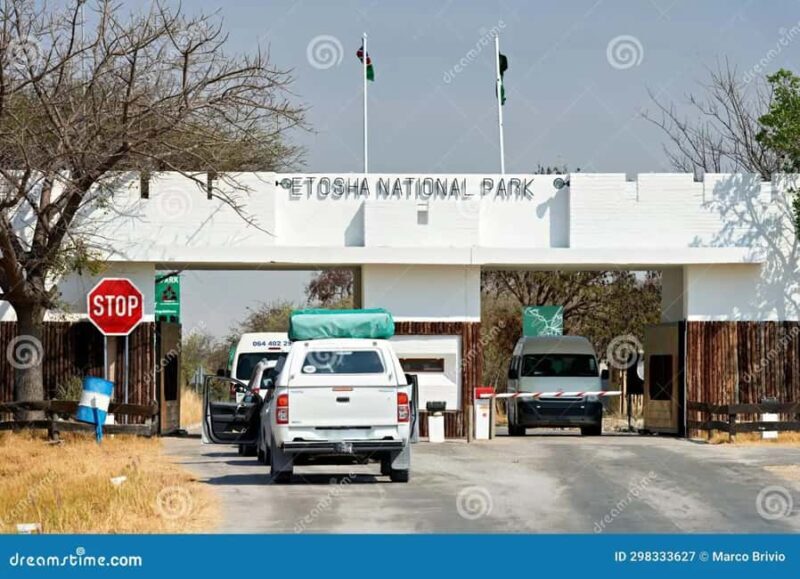 From Windhoek: Guided 1-Day Etosha National Park Safari Tour - Key Points